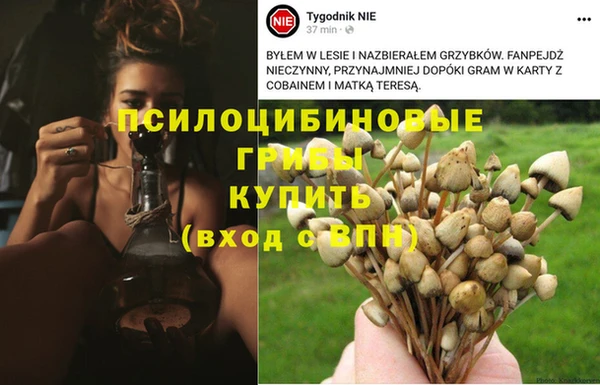 мяу мяу мука Алексин