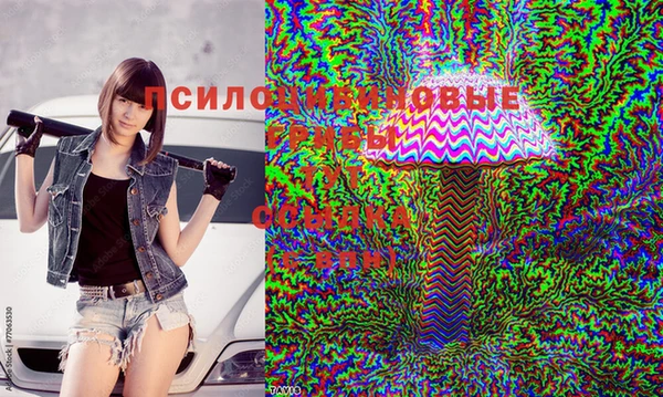 молекула духа Алексеевка