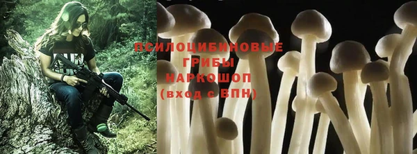 молекула духа Алексеевка