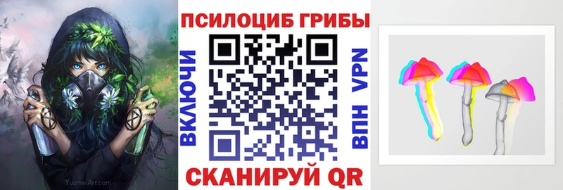 магазин продажи наркотиков  Арамиль  Галлюциногенные грибы GOLDEN TEACHER 