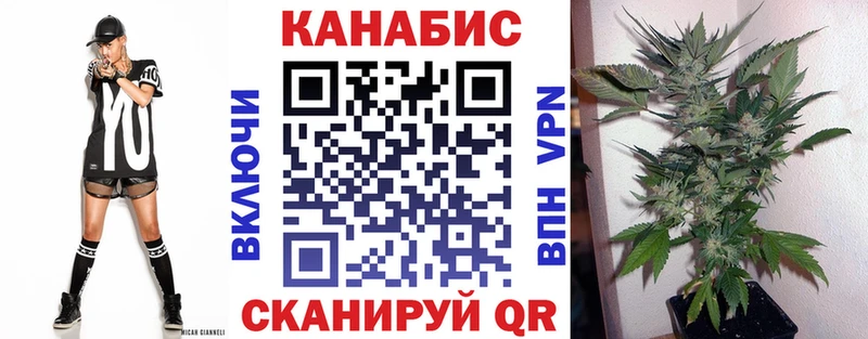 Канабис конопля  Арамиль 